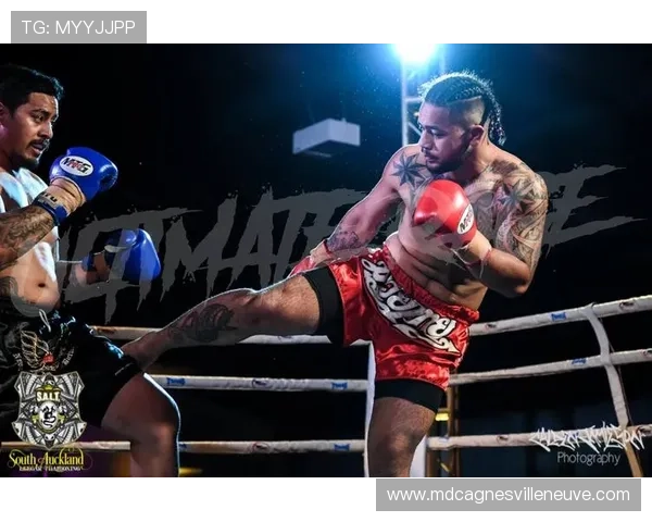 萨卡力量与对抗能力持续提升,表现稳健 萨卡力量与对抗能力持续提升,表现稳健