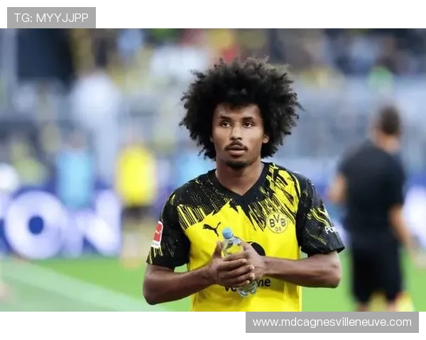 阿德耶米盘带风格