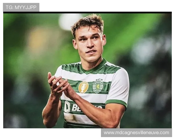 帕利尼亚抢断能力解析