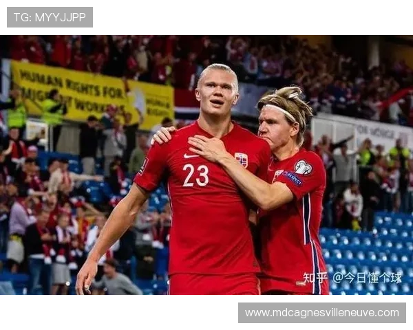 哈兰德与范尼禁区嗅觉及终结效率对比分析