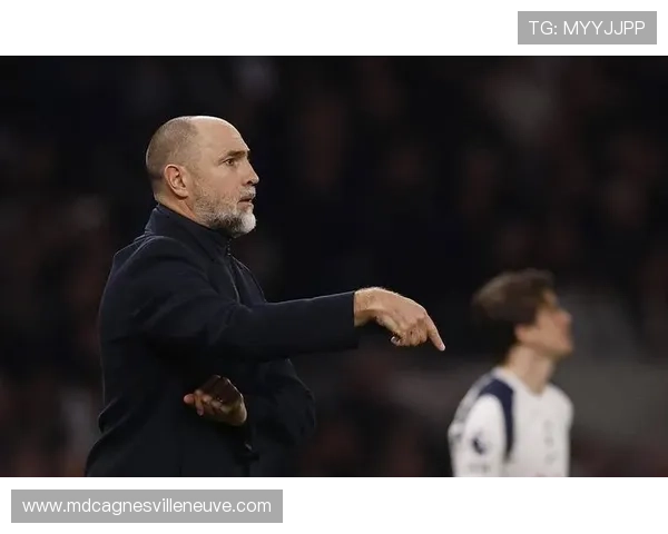 热刺换血后失控?新阵容经验断层已逐步反映在赛场表现中 热刺换血后失控?新阵容经验断层已逐步反映在赛场表现中